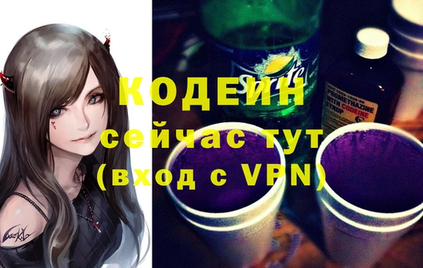 крисы Абаза