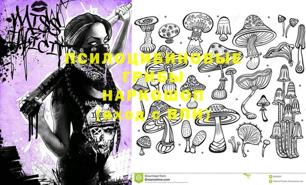 прущие крисы Абинск