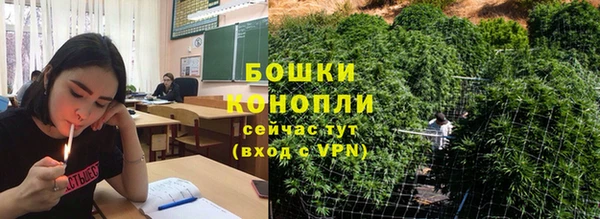 СК Новодвинск