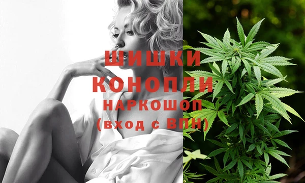 крисы Абаза