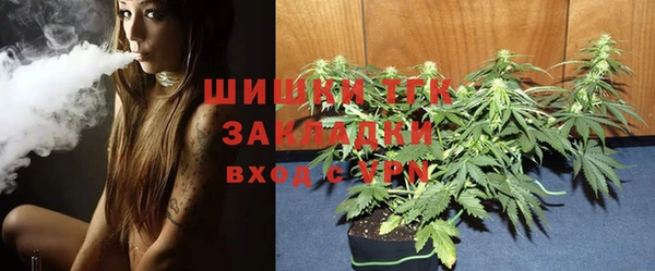 крисы Абаза