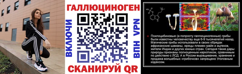 Псилоцибиновые грибы мицелий Судогда