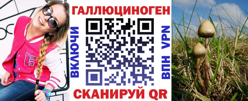 где продают   Судогда  Галлюциногенные грибы Cubensis 